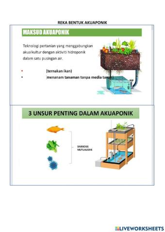 Reka bentuk akuaponik