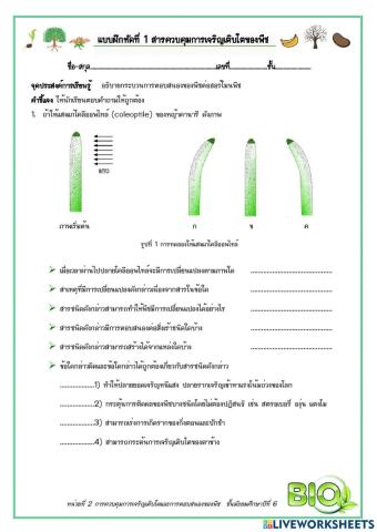 แบบฝึกหัด เรื่อง ฮอร์โมนพืช