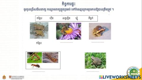 កិច្ចការផ្ទះ (14-07-2021)