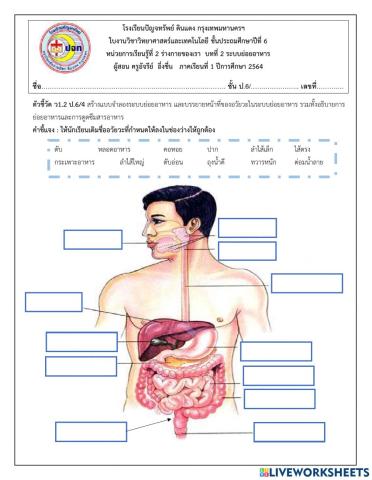 อวัยวะในระบบย่อยอาหารป.6