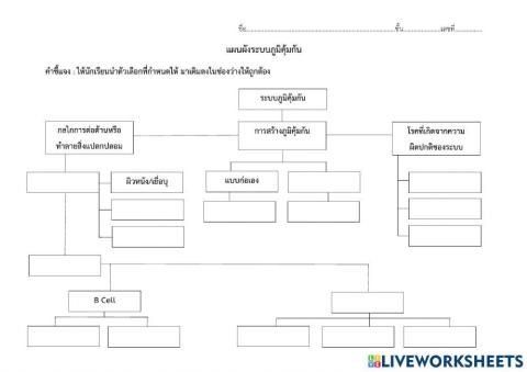 ใบงาน เรื่องระบบภูมิคุ้มกัน