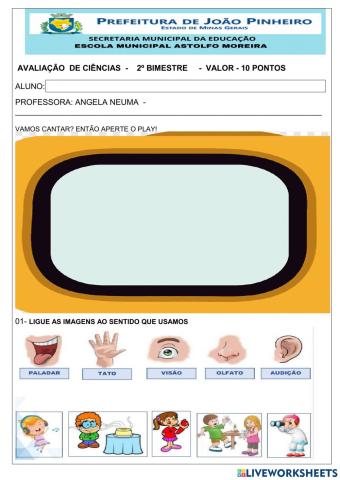 Corpo humano e higiene pessoal