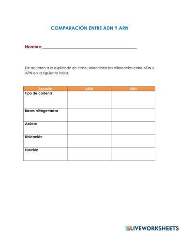 Comparación adn-arn