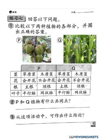 科学活动本37