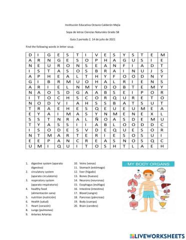 Los sistemas del cuerpo humano