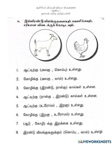 விலங்கு- உடல் உறுப்புகள்