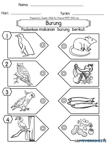 Burung - Padankan Jawapan Yang Betul