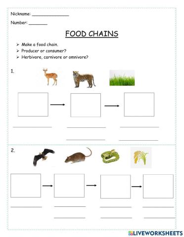 Food Chains