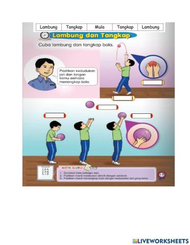 Unit 2 : lambung & tangkap