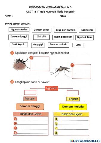 Pendidikan kesihatan : penyakit