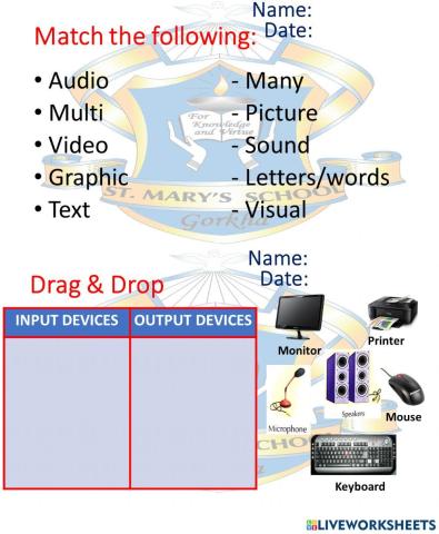 Input and Output Devices