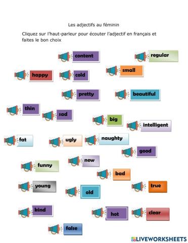 Les Adjectifs au féminin