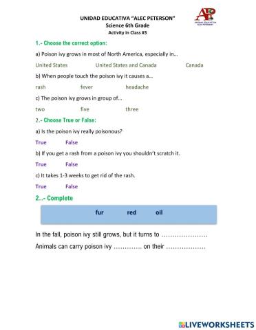 Ivy Plants - Activity -3