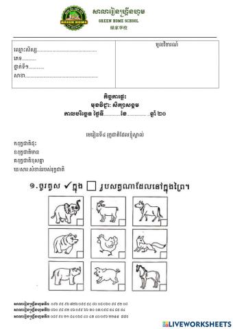 កិច្ចការផ្ទះ