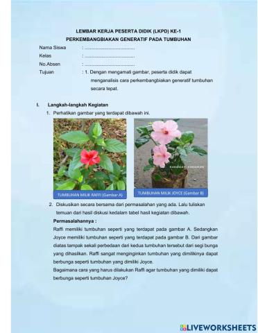 Perkembangbiakan Generatif Tumbuhan