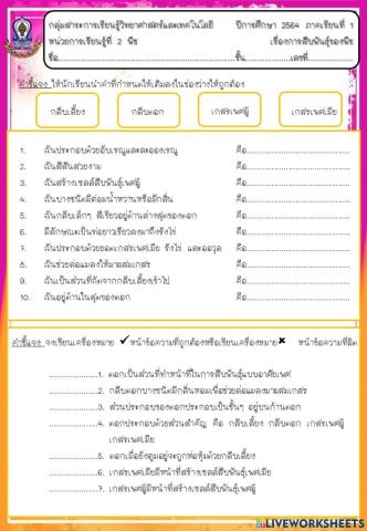 การสืบพันธุ์ของพืชดอก