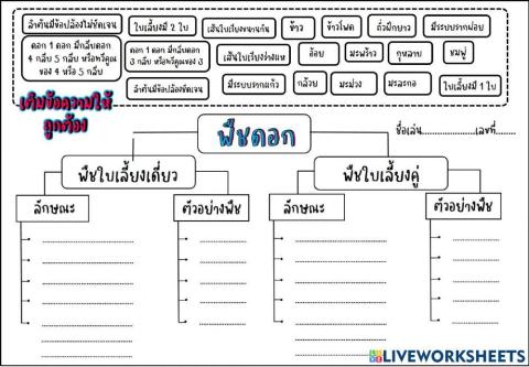 พืชใบเลี้ยงเดี่ยว พืชใบเลี้ยงคู่