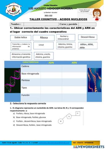 Acidos nucleicos