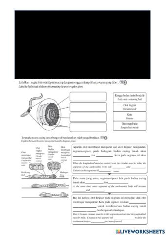 Sc t4 6.1