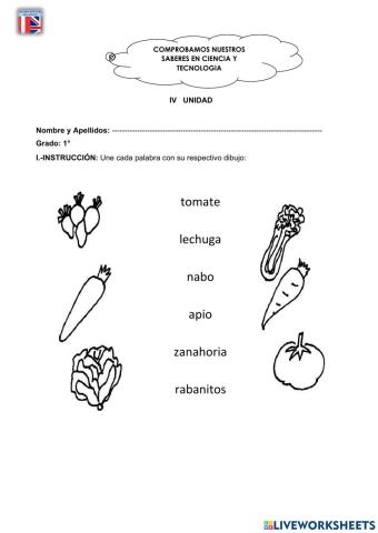 Examen Ciencia IV Unidad 1ro