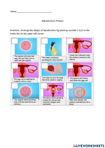 The Reproduction Process