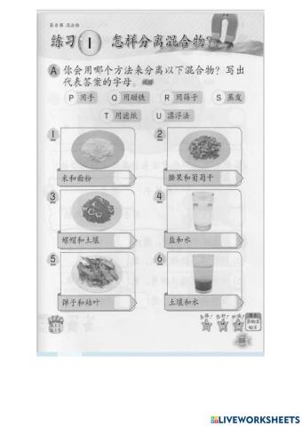 科学活动本第55页