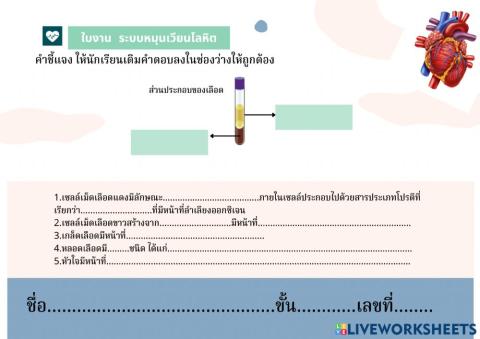 ระบบหมุนเวียนโลหิต