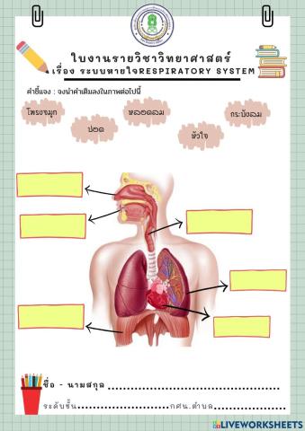 ระบบหายใจ