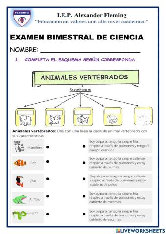 Examen bimestral de ciencia