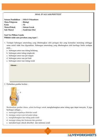 2. Soal Evaluasi Sendi dan Otot