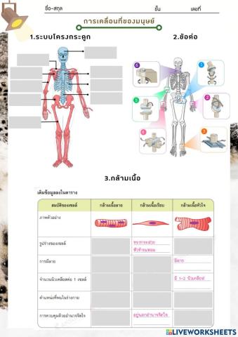 แบบฝึกหัด การเคลื่อนที่ของสิ่งมีชีวิต2