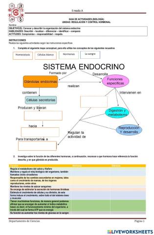 Sistema Endocrino