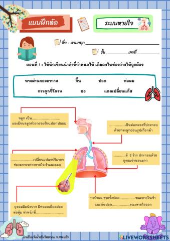 อวัยวะในระบบหายใจ