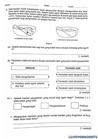 Pengawetan makanan