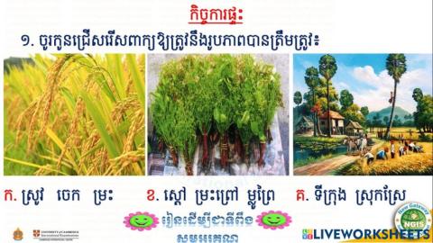 កិច្ចការផ្ទះ