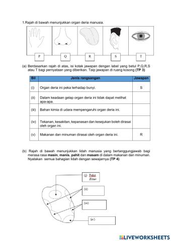 Ulangkaji Tingkatan 3 ( bab 1-6)