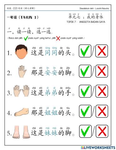 Bcsk 一年级：我的身体（课文理解）