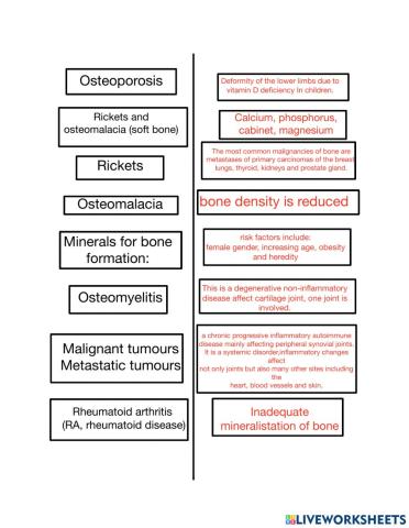 Vocabs (anatomy)