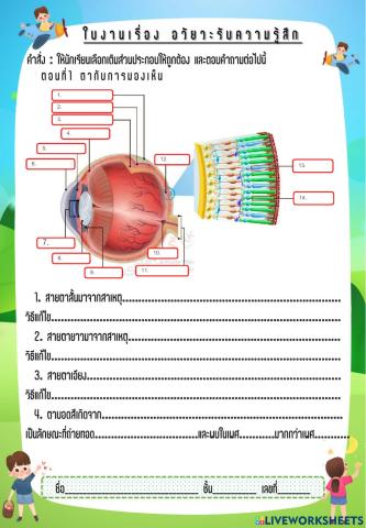 อวัยวะรับความรู้สึก