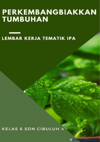 Tematik ipa