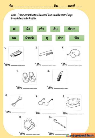 ตัวเราป.1