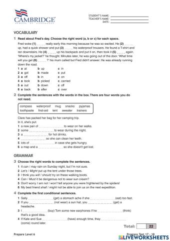 Progress Test 5 Units 17 - 19