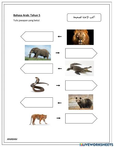 Bahssa Arab Tahun 5: Haiwan
