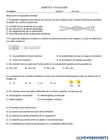 Genética y evolución