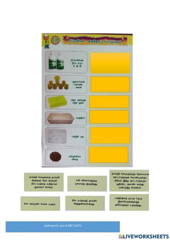 Hidroponic RBT yr 6 (Tamil)