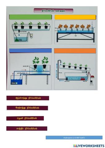 Types of Hidroponic (RBT yr 6)