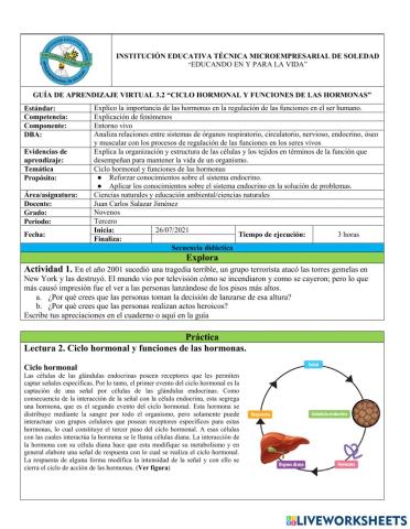 Guía 3.2 Ciclo hormonal y funciones de las hormonas