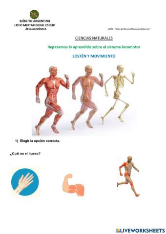 Repaso ciencias naturales