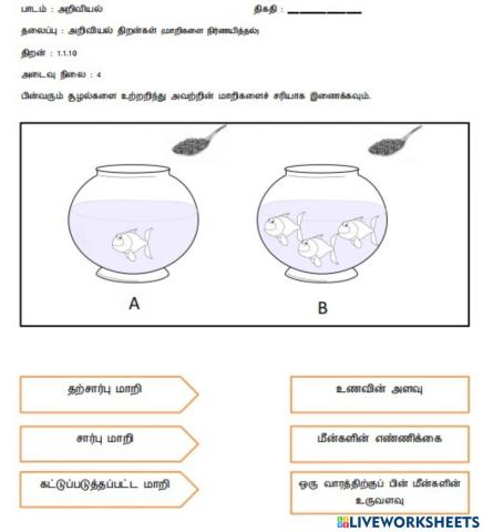 அறிவியல் செயற்பாங்கு திறன் 3