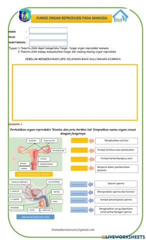 Fungsi organ reproduksi